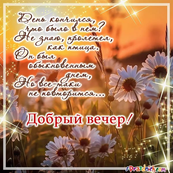 Доздравле с добрым вечером