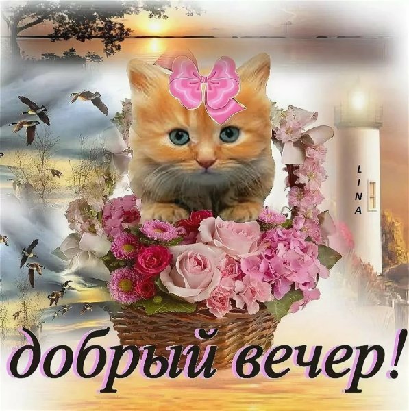 Открытки приятного вечера