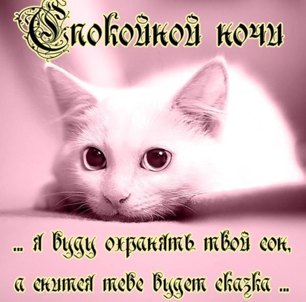 Пожелания спокойной ночи