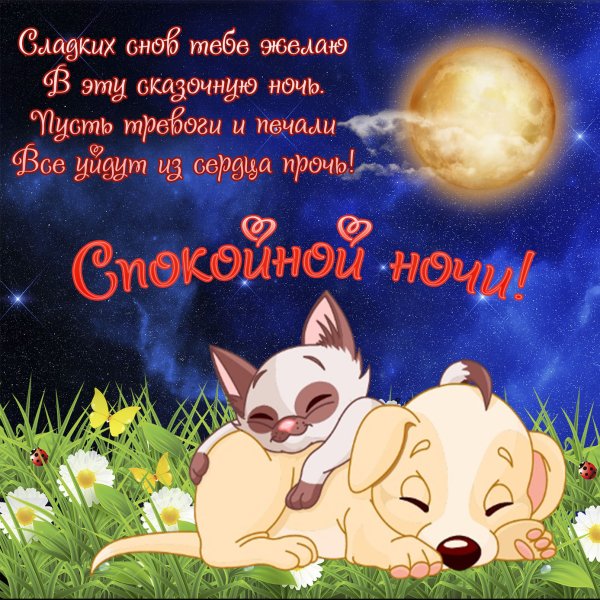 Спокойной ночи