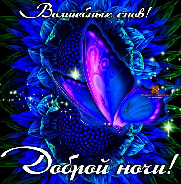 Пожелания спокойной ночи любимой девушке