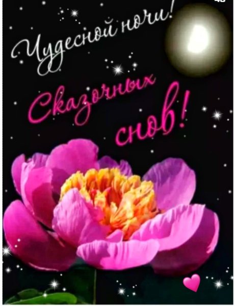 Спокойной ночи