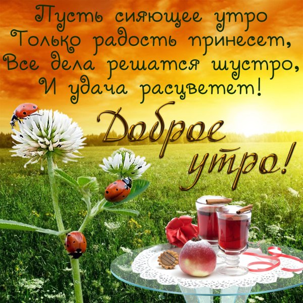 Добрые пожелания