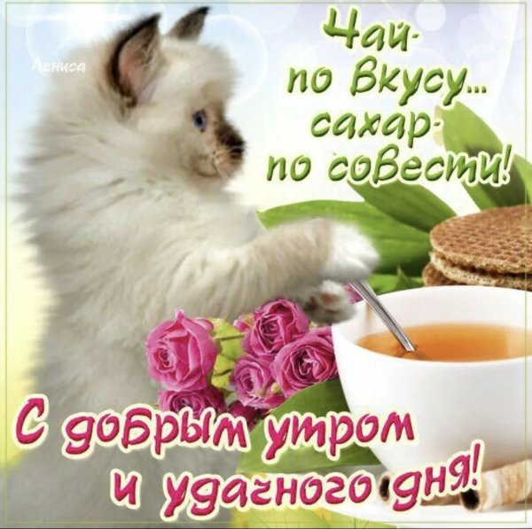 Поздравление с добрым утром