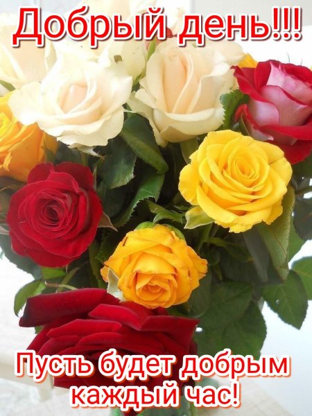 Доброе утро с пожеланиями здоровья