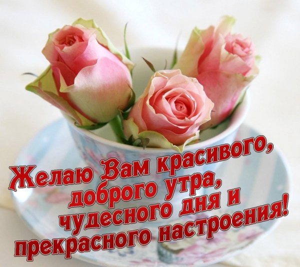 Пожелания доброго утра и хорошего настроения