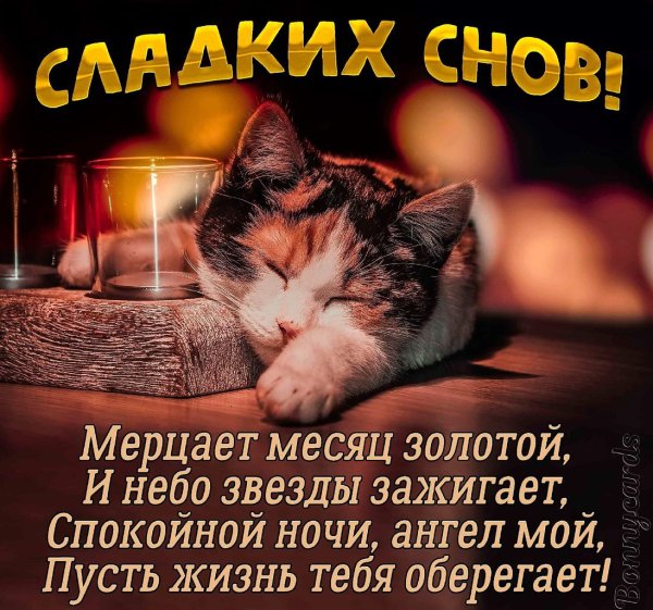 Пожелания спокойной ночи любимой женщине красивые