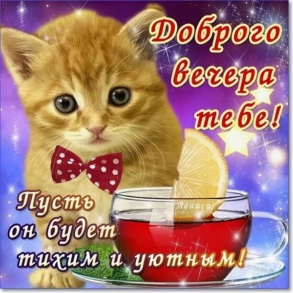 Хороший вечер
