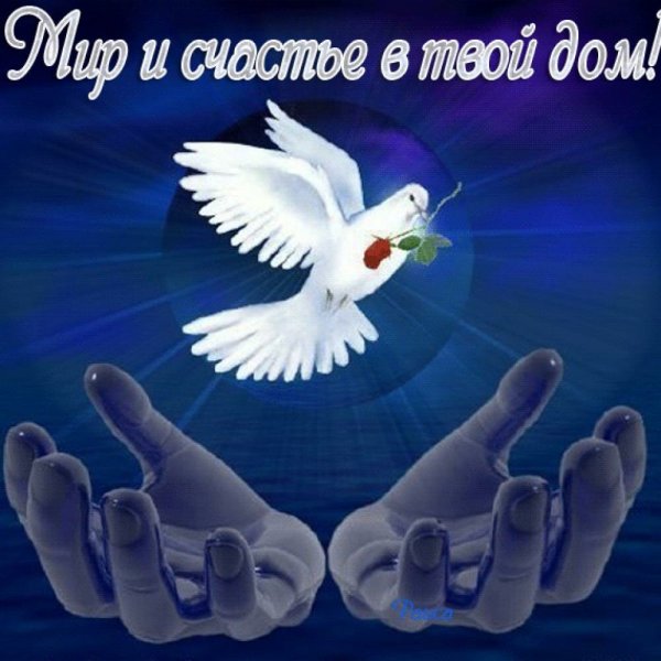 Пожелания мира и добра на земле