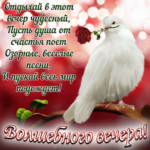 Голуби с пожеланиями