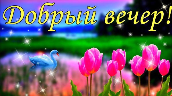 Доброго весеннего утра и хорошего дня