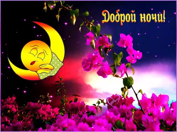 Прекрасная ночь