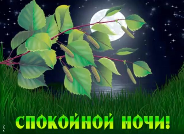 Спокойной весенней ночи