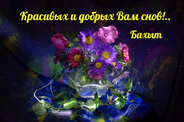 Доброй вам ночи