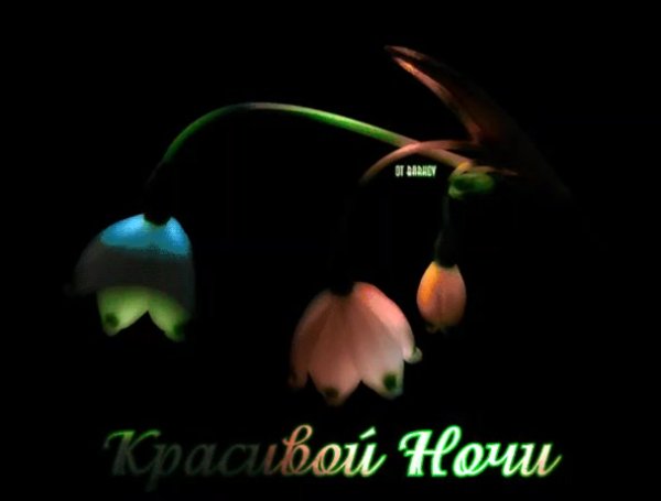 Спокойной ночи гифки красивые редкие