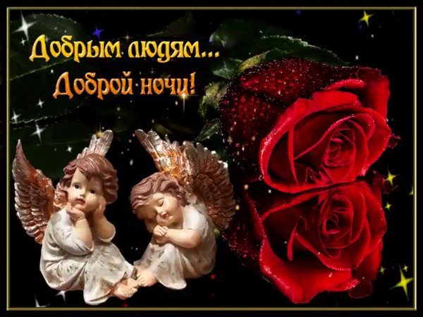 Ангелочки живые