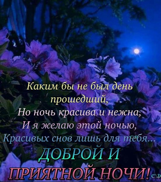 Доброго вечера и спокойной ночи