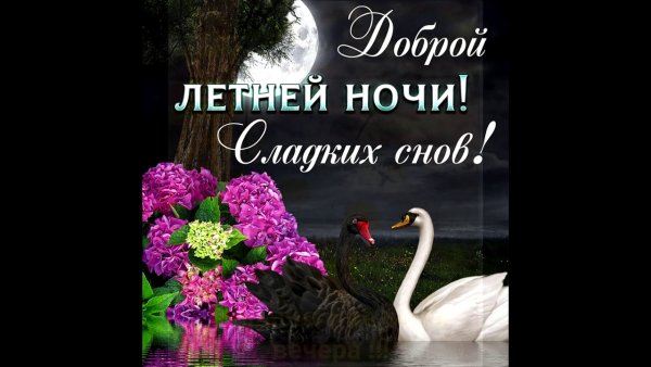 Пожелания спокойной ночи