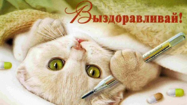 Пожелания здоровья