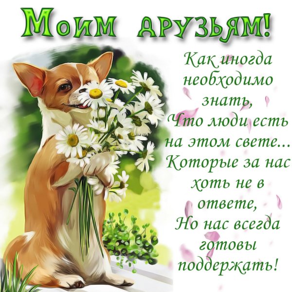 Поздравление другу
