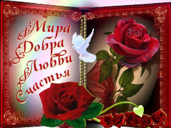 Любви добра и счастья
