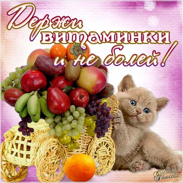 Выздоравливай!