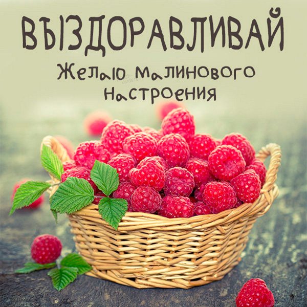 Открытка поправляйся