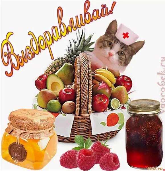 Выздоравливай скорее