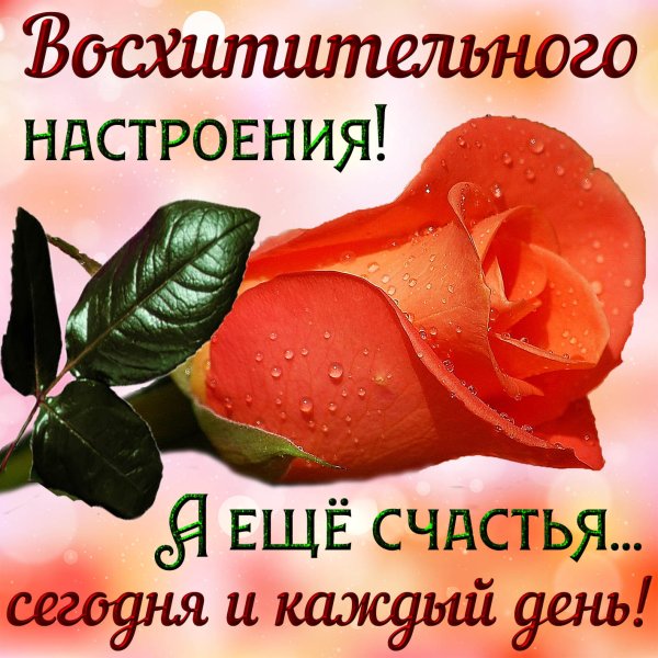 Прекрасно настроениях открытки