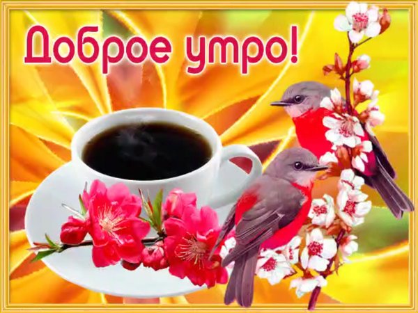 Открытки с добрым утром красивые