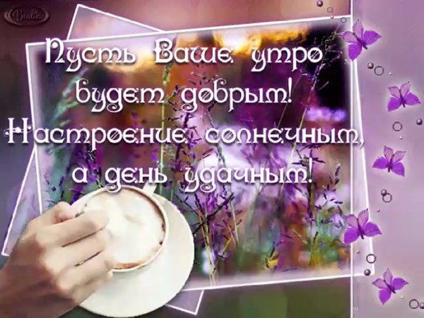 Доброго февральского утра и хорошего дня