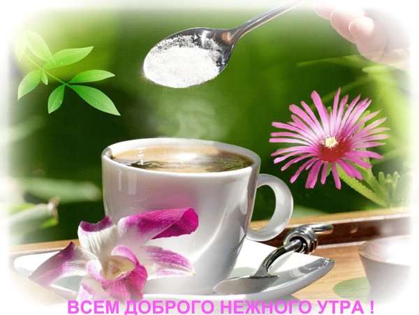 Открытки нежного утра и прекрасного дня