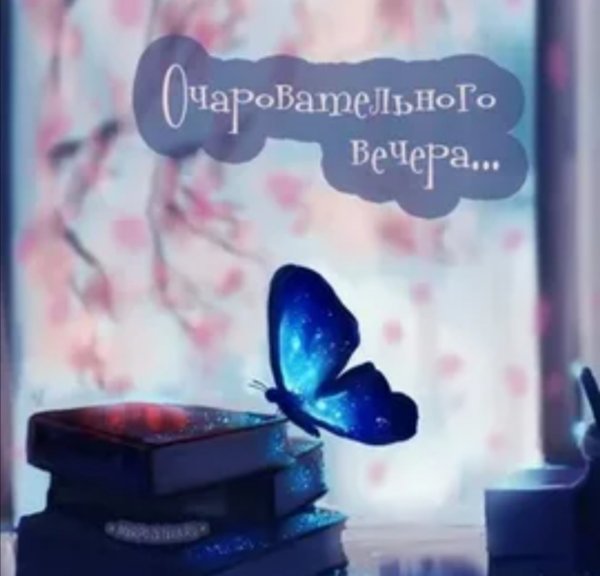 Хороший вечер