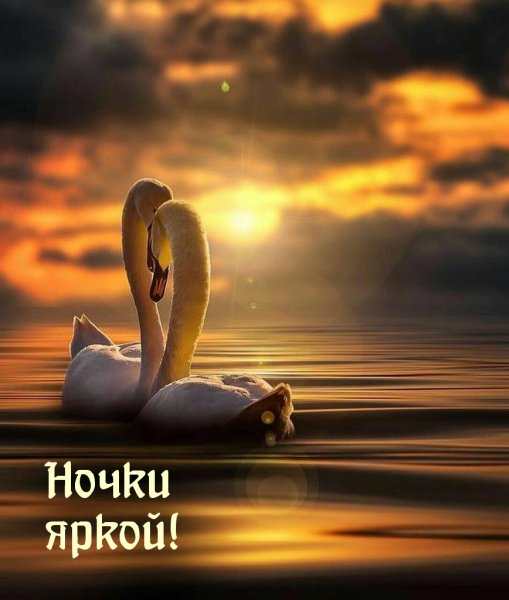 Спальня ночью