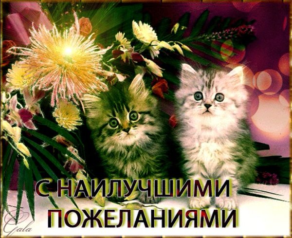 Открыточка с наилучшими пожеланиями