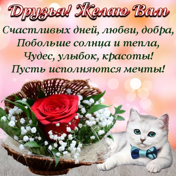 Поздравления с днём рождения девушке красивые
