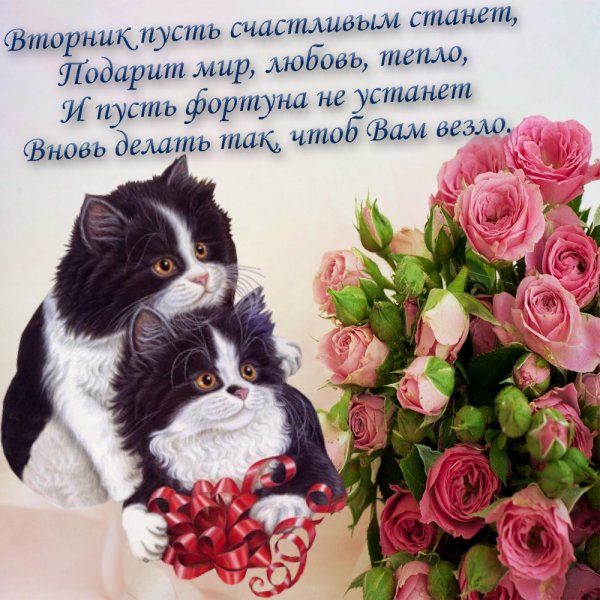 Поздравления на каждый день