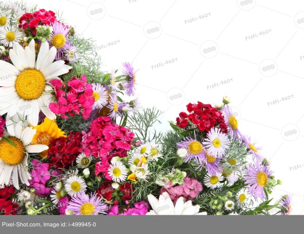 Открытки замечательной среды