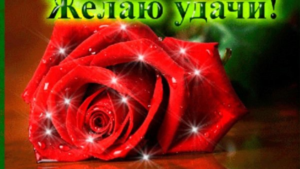 Желаю удачи фото аниме