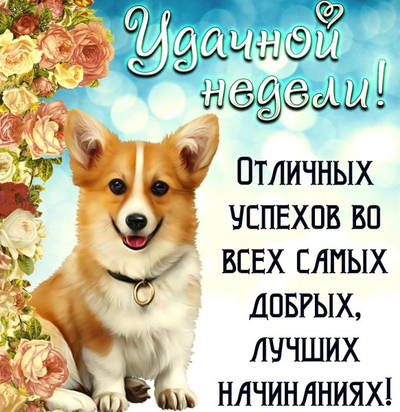 Открытки с пожеланиями хорошей недели