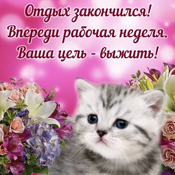 Поздравление с понедельником