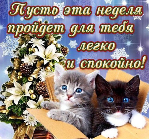 Открытки с понедельником