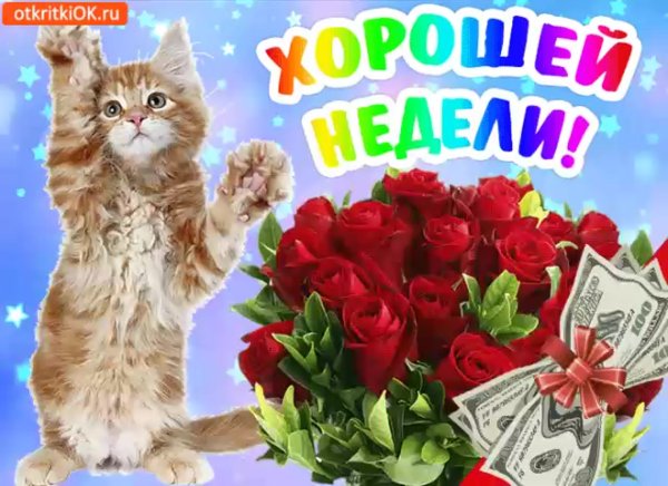 Хорошей недели