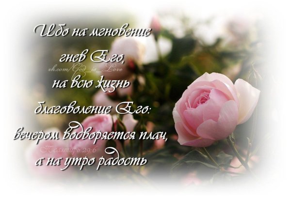 Христианские пожелания из Библии