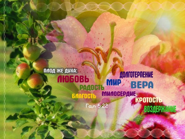 Божьи благословения из Библии