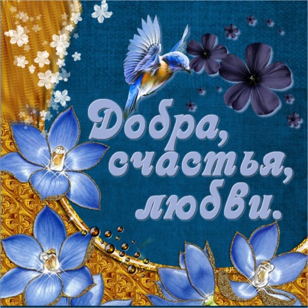 Поздравления на каждый день
