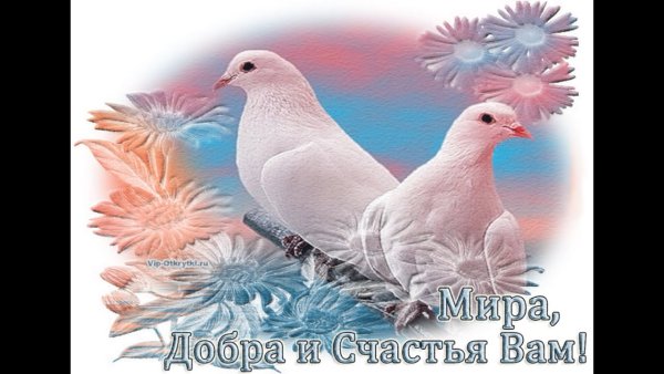 Пожелания счастья