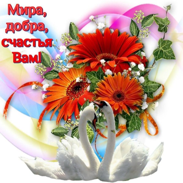 Денежное дерево с пожеланиями