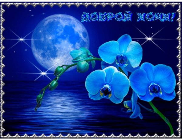 Открытки спокойной ночи