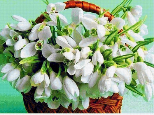 Букет подснежников